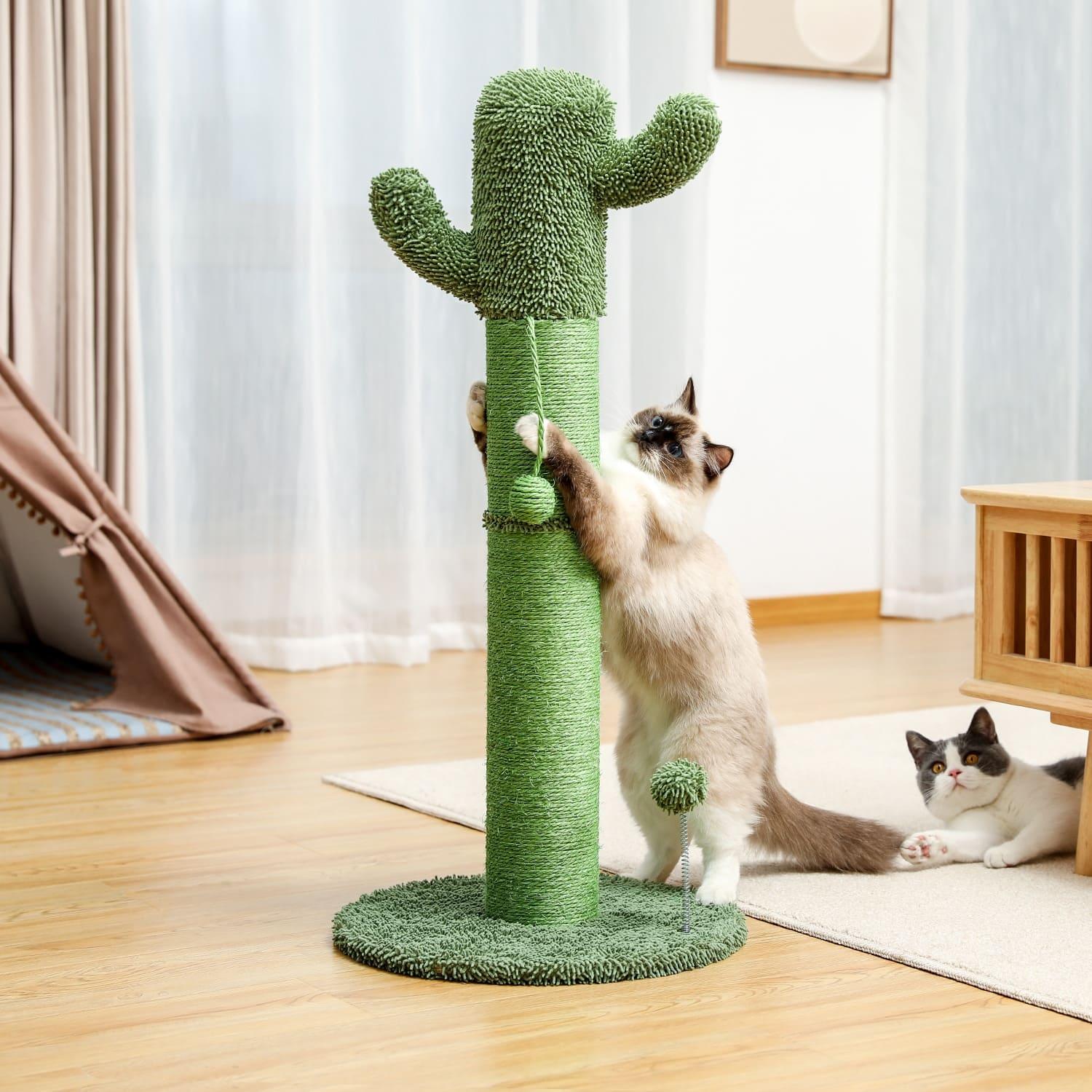 Cactus Pet Cat Tree Toy - Interactive Scratching Post - toys4pets.shop