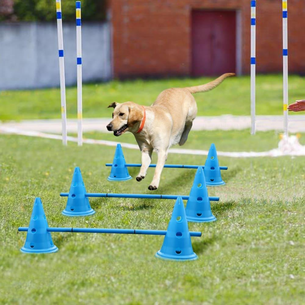 3-Set Outdoor Pet Dog Training Equipment - Enhance Your Dog's Agility and Fitness - toys4pets.shop