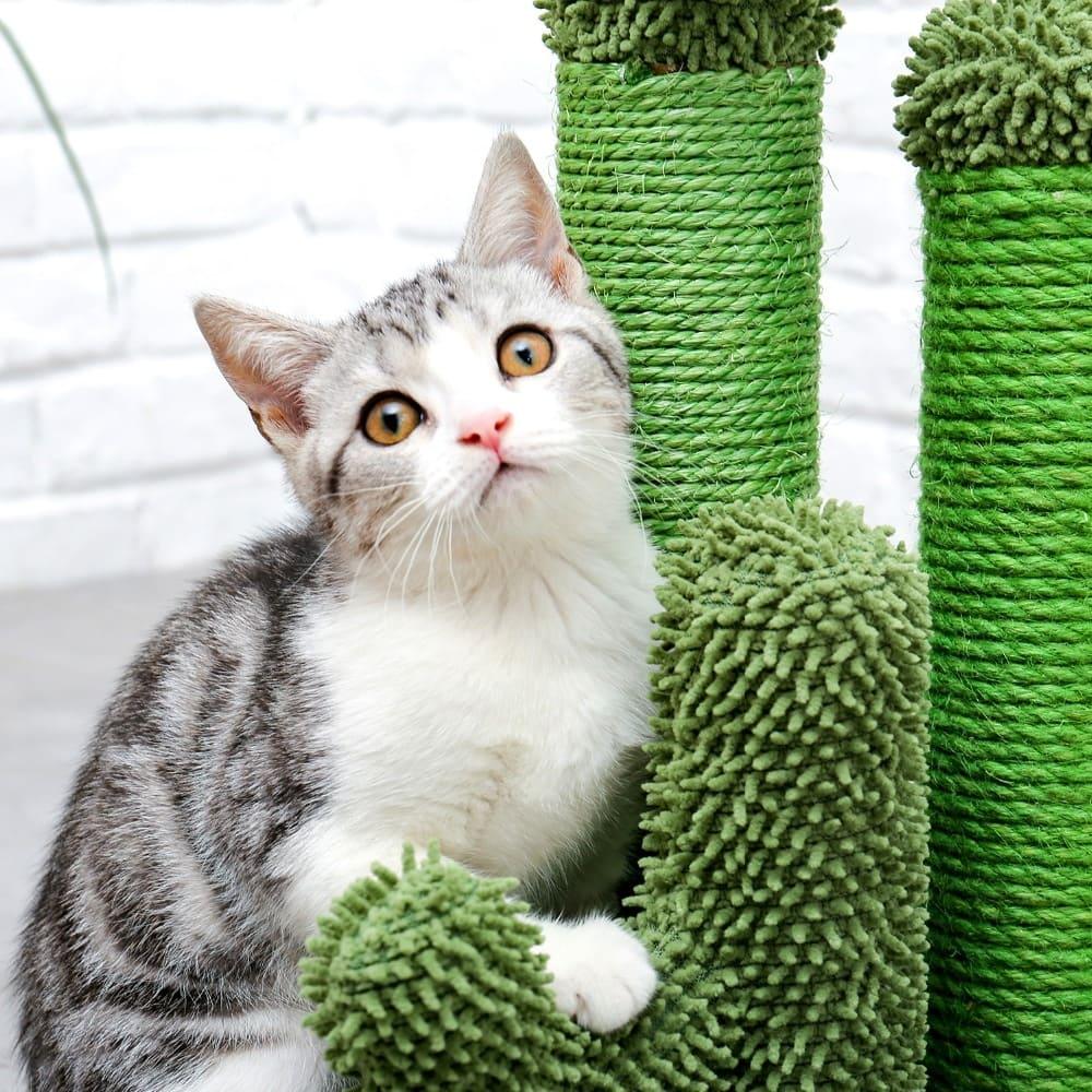 Cactus Pet Cat Tree Toy - Interactive Scratching Post - toys4pets.shop