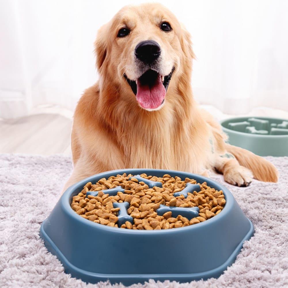 Pet Dog Bowl - Slow Feeder Bowl for Dogs - toys4pets.shop