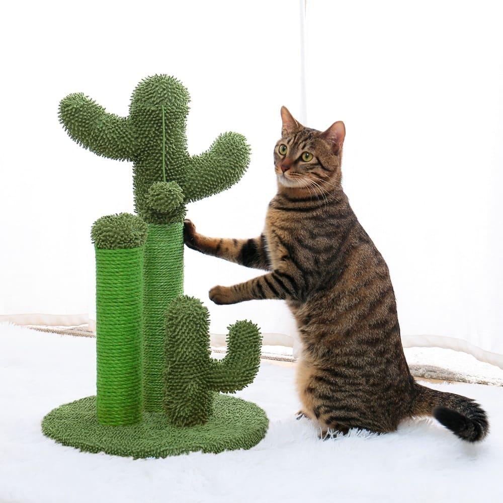 Cactus Pet Cat Tree Toy - Interactive Scratching Post - toys4pets.shop