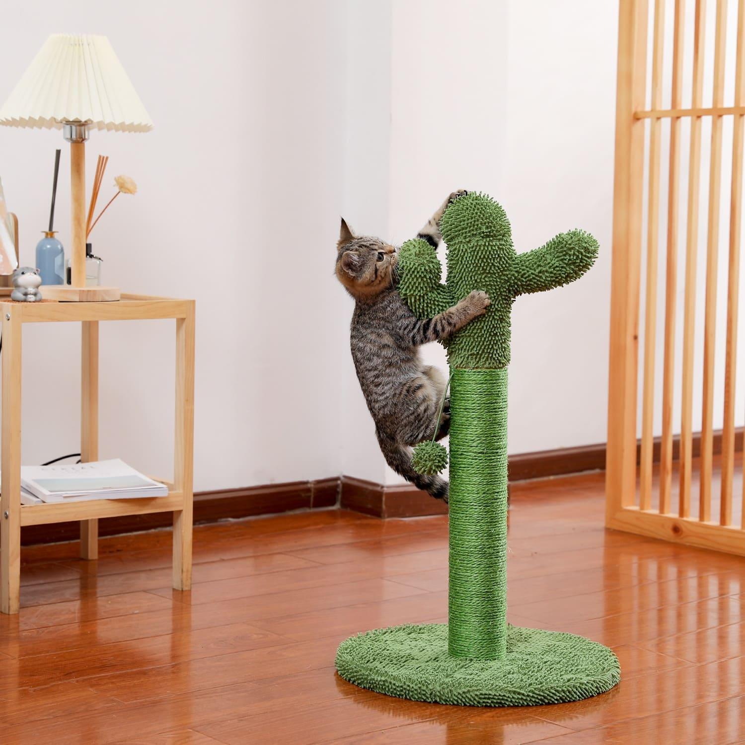 Cactus Pet Cat Tree Toy - Interactive Scratching Post - toys4pets.shop