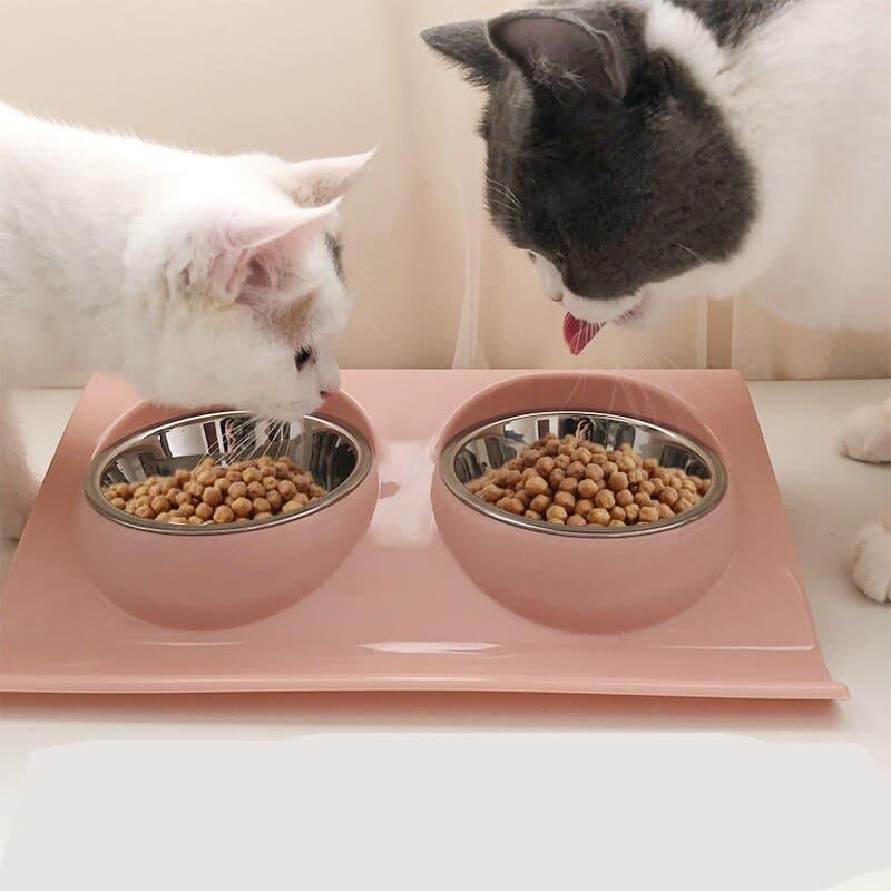 Pet Double Bowls Food Water Feeder - Stainless Steel Cat Food Bowl - toys4pets.shop