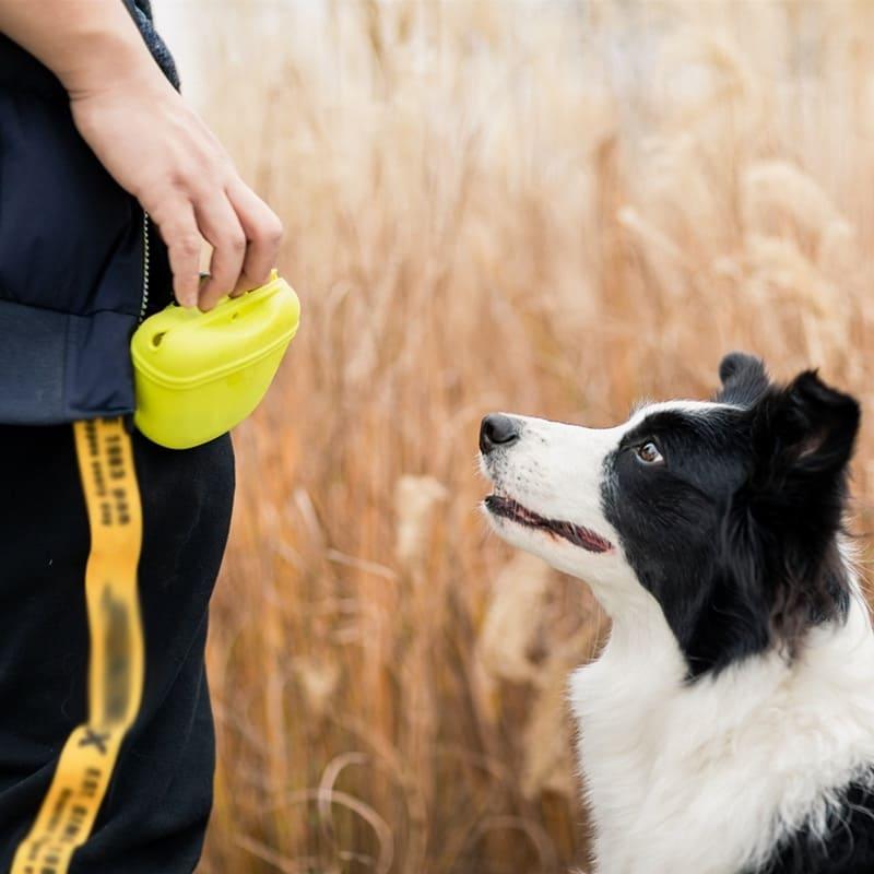 Pet Portable Dog Training Waist Bag - Convenient Treat and Snack Storage for Obedience, Agility, and Outdoor Activities - toys4pets.shop