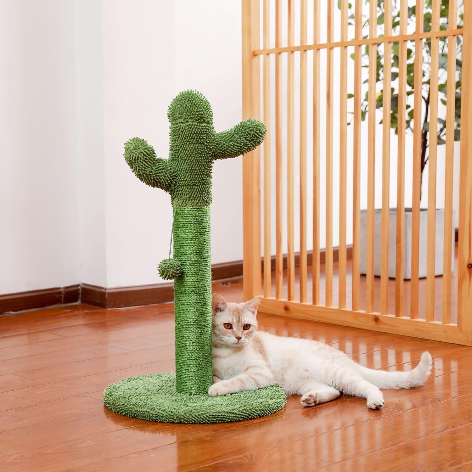 Cactus Pet Cat Tree Toy - Interactive Scratching Post - toys4pets.shop