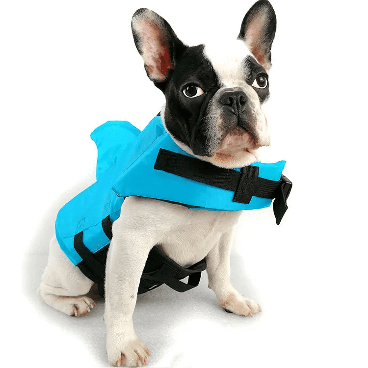 Dog Life Vest Shark- Keep Your Pet Safe and Stylish in the Water! - toys4pets.shop