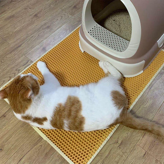 Keep Your Home Clean with the Cat Litter Tray Mat - Waterproof, Double Layer, Non-Slip - toys4pets.shop