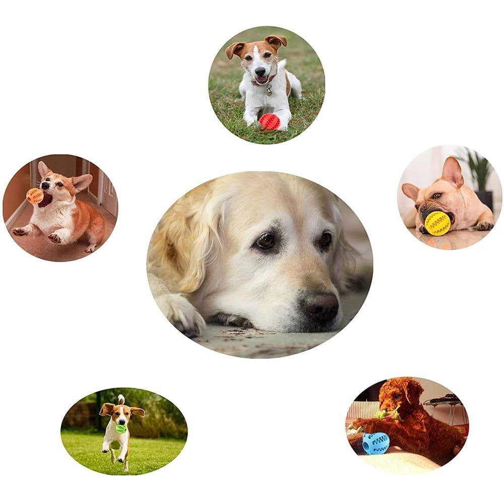 Perfect Funny Toy for Pet Puppies and Large Dogs - toys4pets.shop