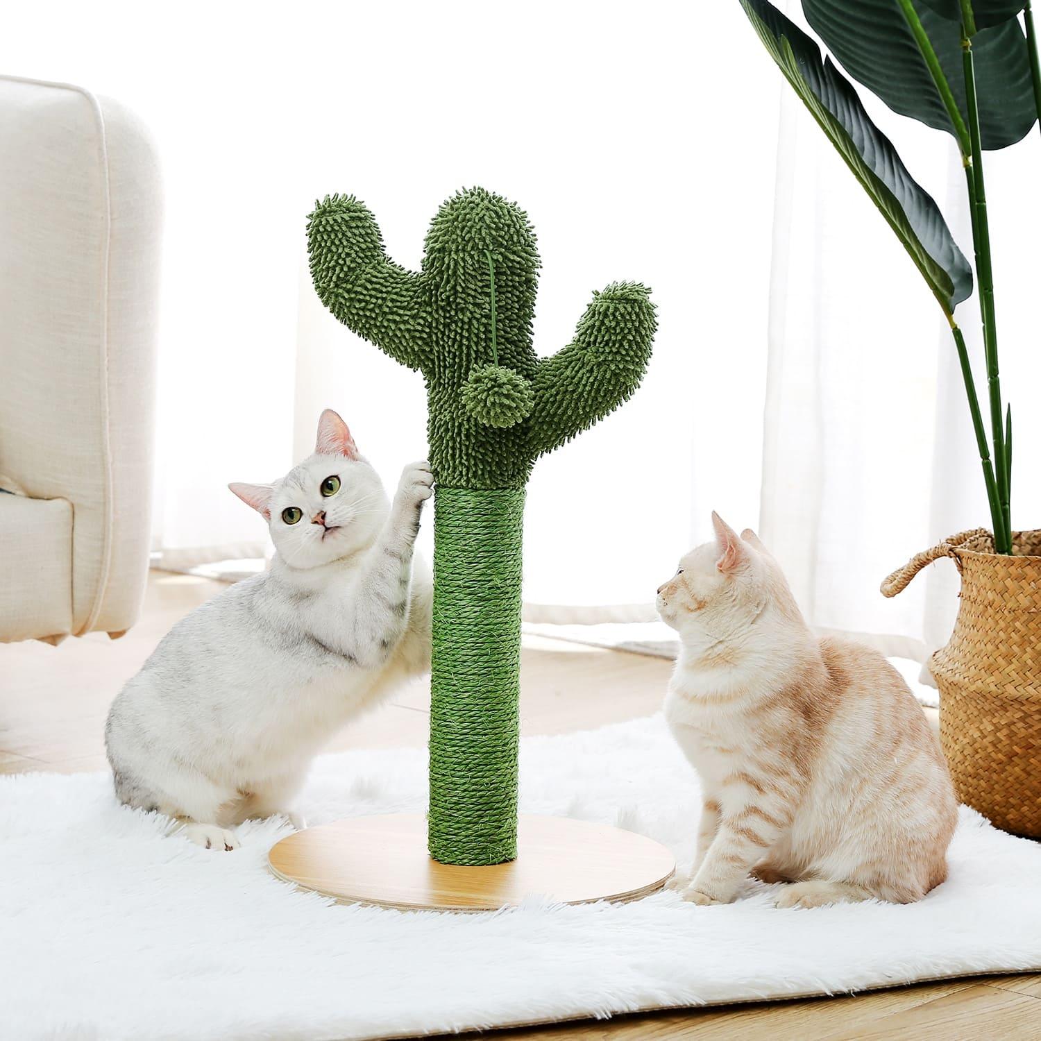 Cactus Pet Cat Tree Toy - Interactive Scratching Post - toys4pets.shop