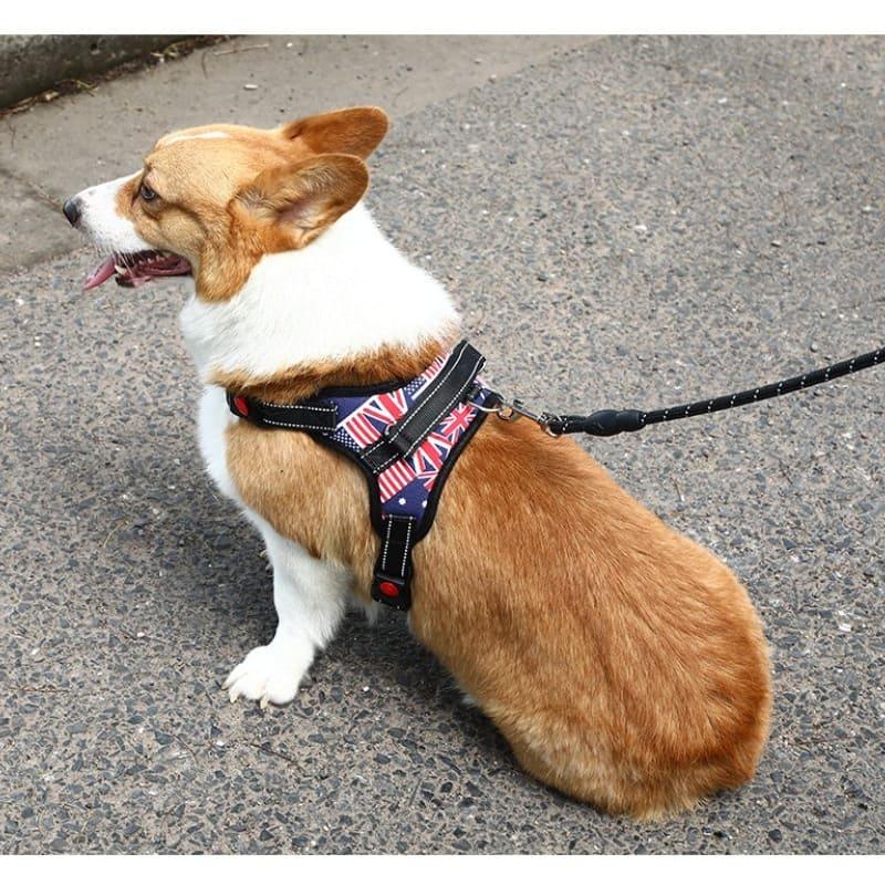 Nylon Heavy Duty Dog Pet Harness Collar - Ultimate Comfort and Control for Your Canine Companion - toys4pets.shop