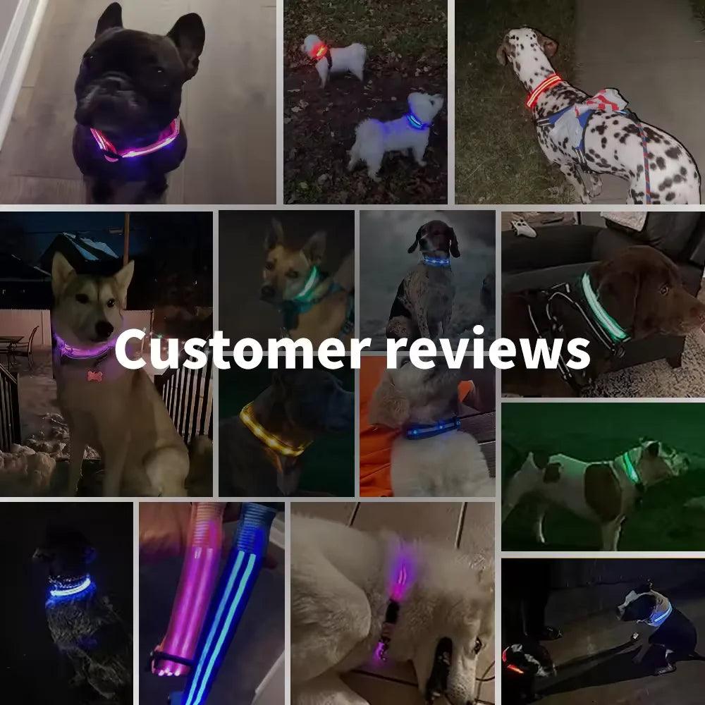 Keep Your Pup Safe with our LED Glowing Dog Collar! - toys4pets.shop