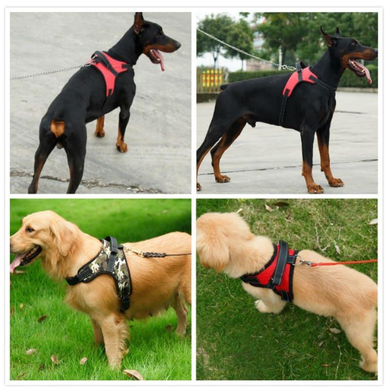 Nylon Heavy Duty Dog Pet Harness Collar - Ultimate Comfort and Control for Your Canine Companion - toys4pets.shop