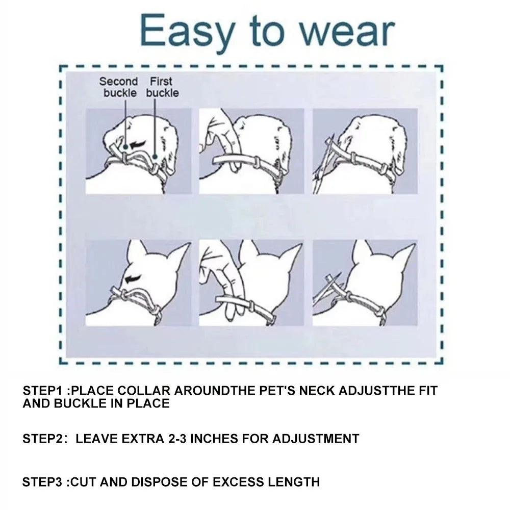 Flea and tick collar for dogs, Dog flea and tick collar, Natural flea and tick collar for dogs - toys4pets.shop