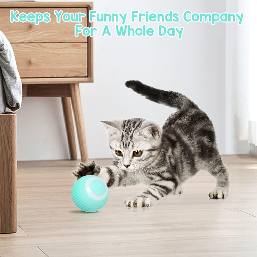 Smart Cat Toys Electric Cat Ball - Automatic Rolling Ball for Interactive Play - toys4pets.shop