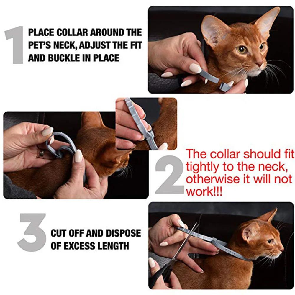 Pet Flea and Tick Collar for Cats - Up to 8 Months Protection - toys4pets.shop