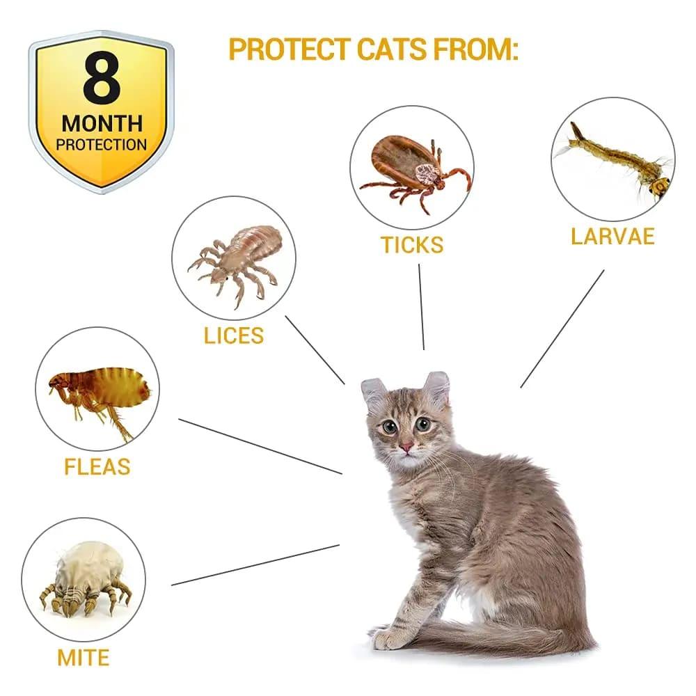 Pet Flea and Tick Collar for Cats - Up to 8 Months Protection - toys4pets.shop