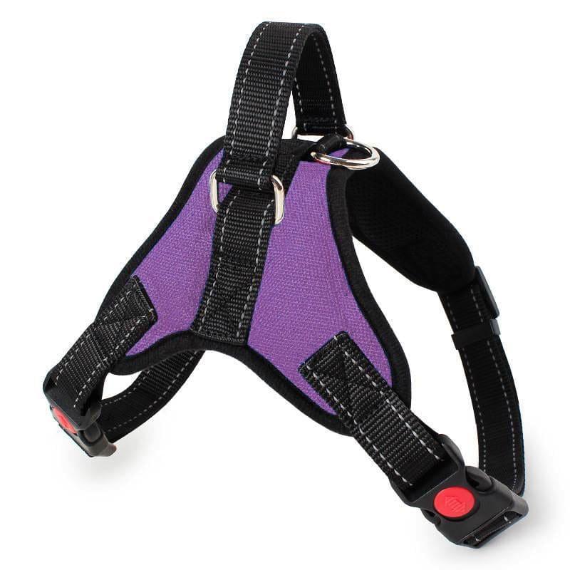 Nylon Heavy Duty Dog Pet Harness Collar - Ultimate Comfort and Control for Your Canine Companion - toys4pets.shop