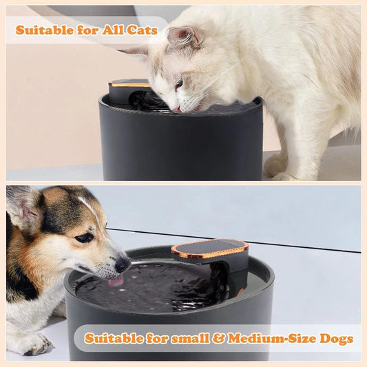 3L Cat Water Fountain with Motion Sensor - Fresh and Automatic Pet Hydration - toys4pets.shop