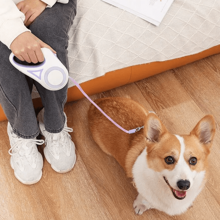 Illuminate Your Night Walks with our LED Flashlight Pet Leash! - toys4pets.shop