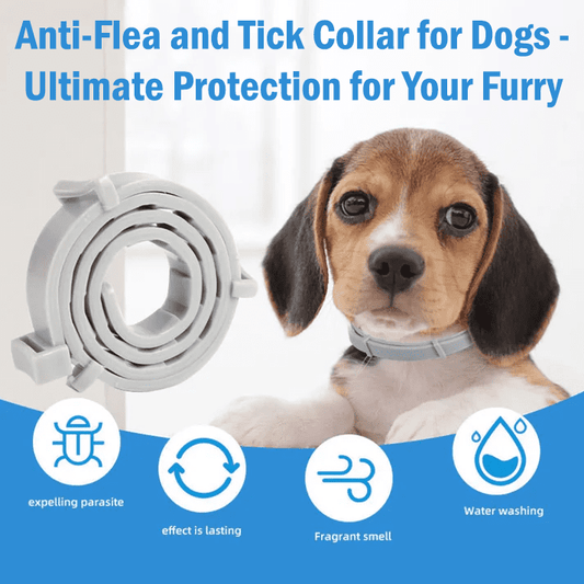 Flea and tick collar for dogs, Dog flea and tick collar, Natural flea and tick collar for dogs - toys4pets.shop