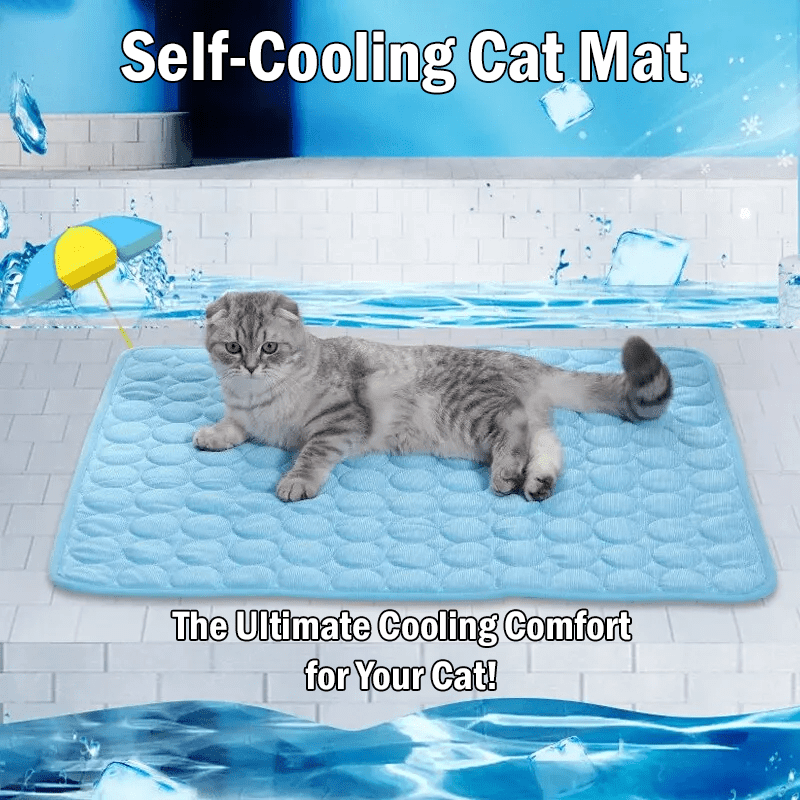 Kitty Kasas Penthaus Upper Cat Bed Perch - Snap-On Top For Standard Cubes, Includes Pillow & Kitty Klips (White)